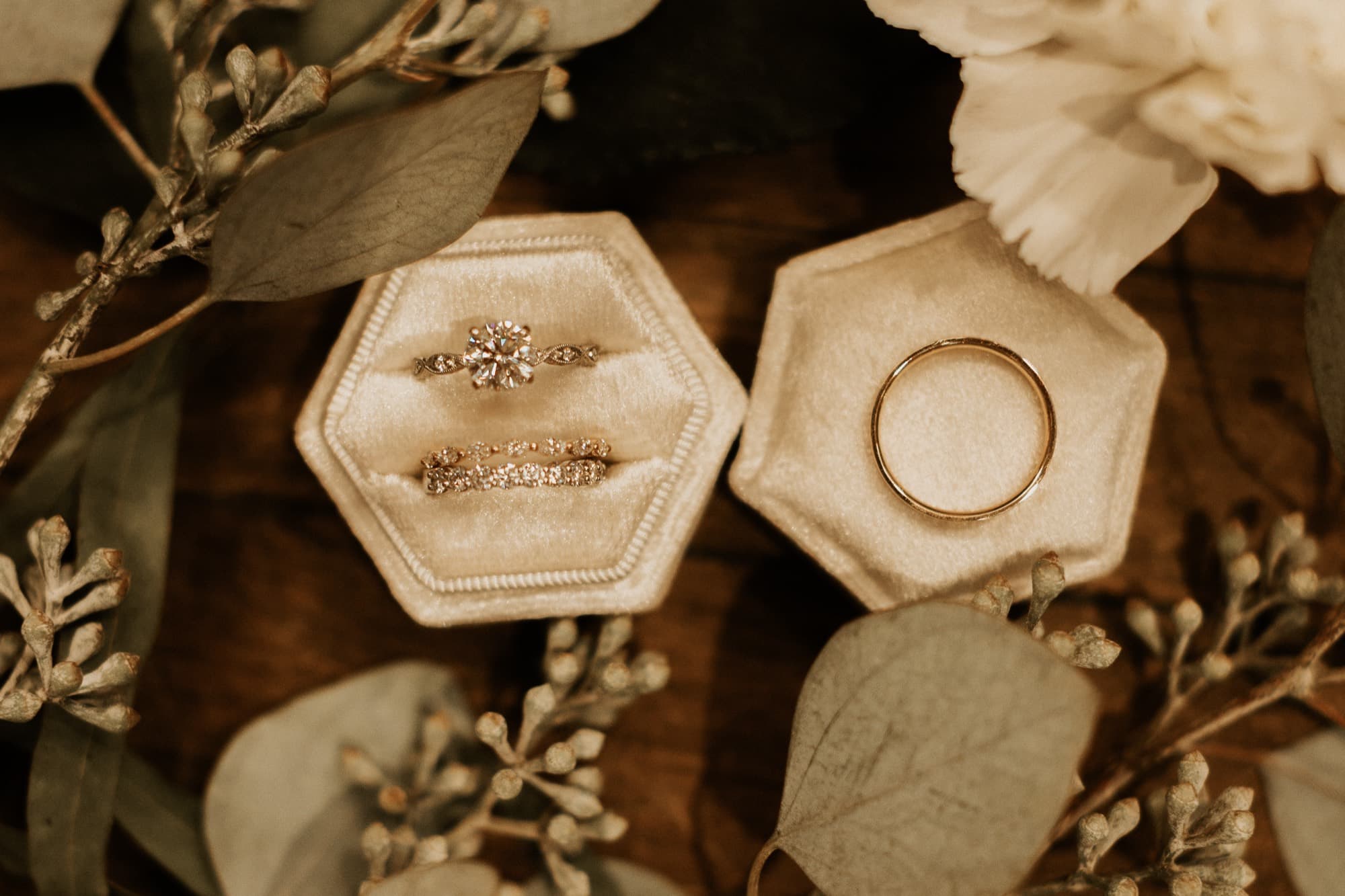 Two wedding bands and an engagement ring in a velvet box, framed by eucalyptus on dark wood