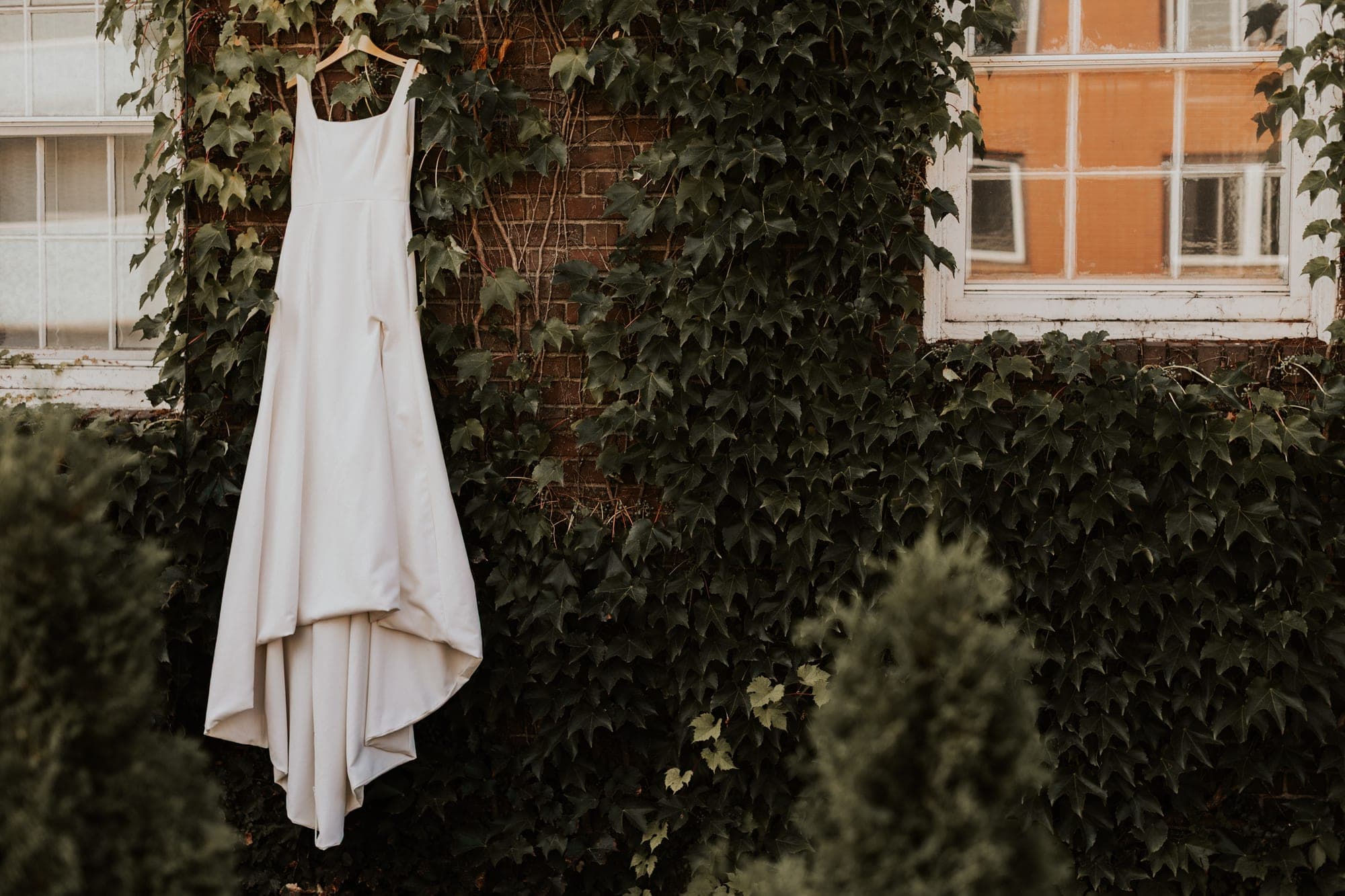A wedding gown hangs against an ivy-covered brick wall